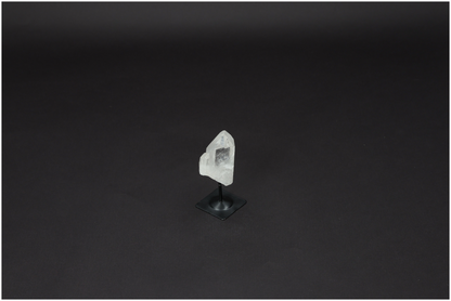 orbitvu|type:image2d