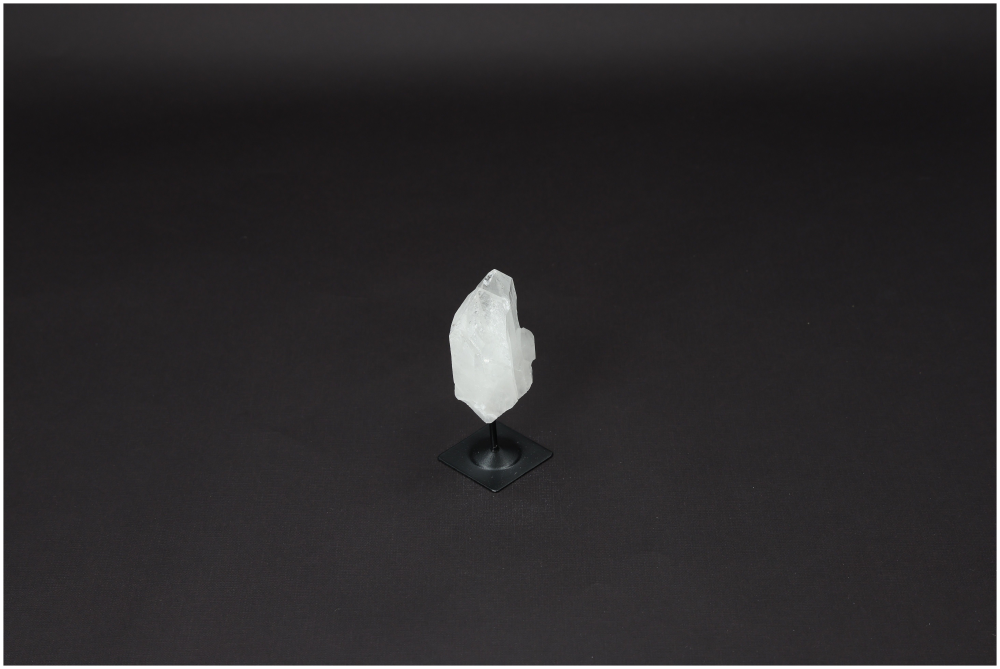 orbitvu|type:image2d