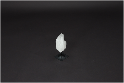 orbitvu|type:image2d