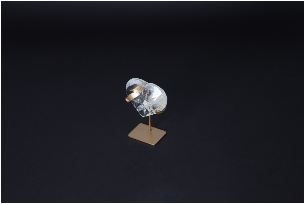 orbitvu|type:image2d