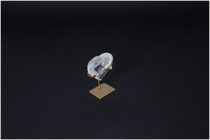 orbitvu|type:image2d