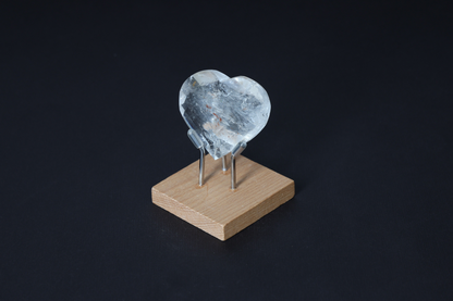 orbitvu|type:image2d