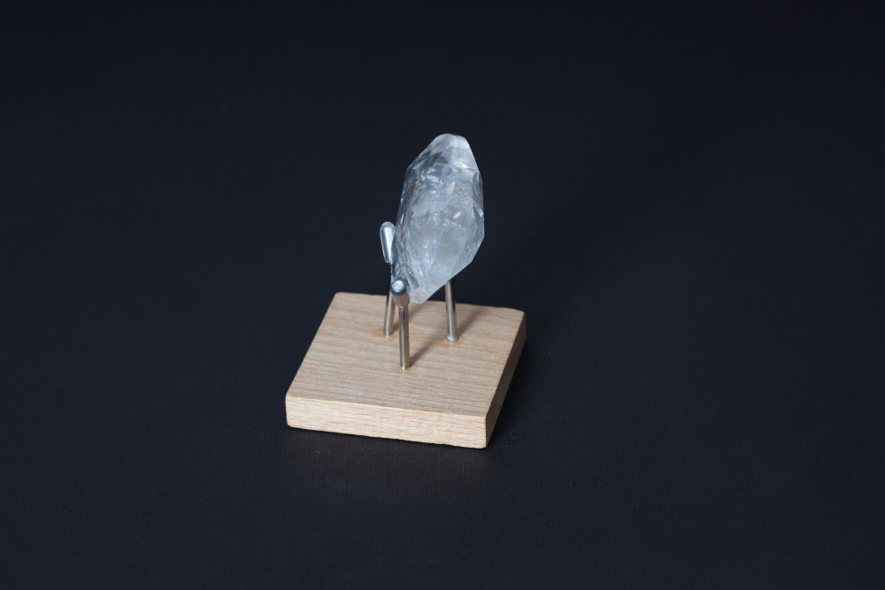 orbitvu|type:image2d