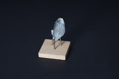 orbitvu|type:image2d