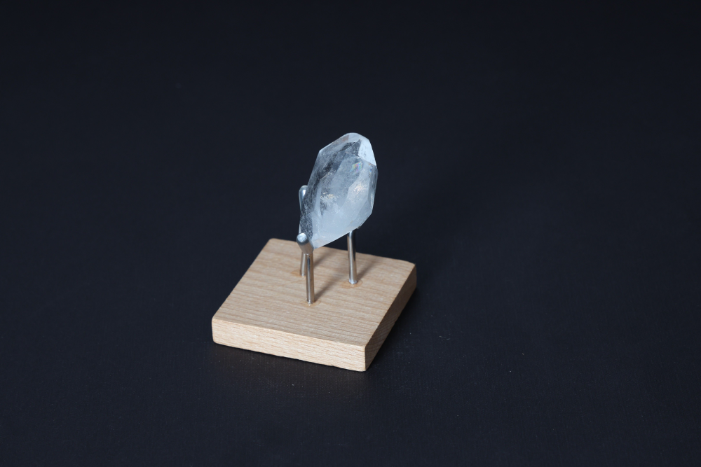 orbitvu|type:image2d