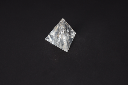 orbitvu|type:image2d