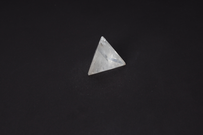 orbitvu|type:image2d