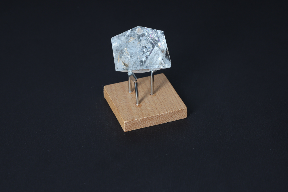 orbitvu|type:image2d