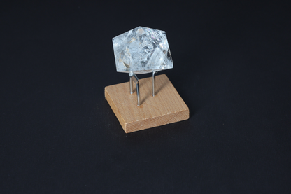 orbitvu|type:image2d