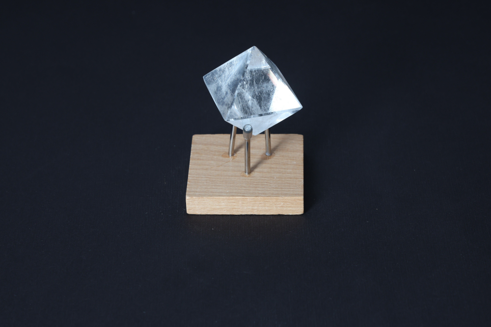 orbitvu|type:image2d