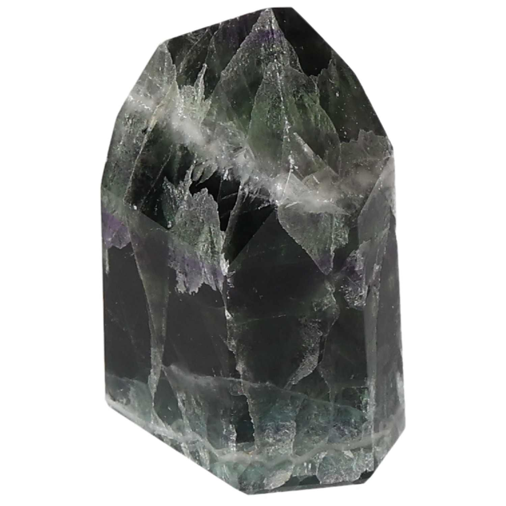 orbitvu|type:image2d