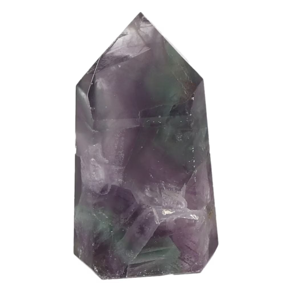 orbitvu|type:ORBITVU 360|https://orbitvu.co/share/n6qxDd4bk37MMm4sREtV6m/6572521/360/iframe