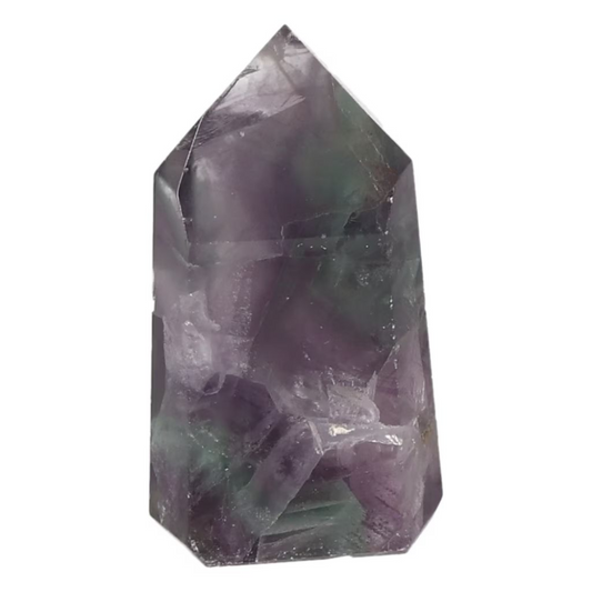 orbitvu|type:ORBITVU 360|https://orbitvu.co/share/n6qxDd4bk37MMm4sREtV6m/6572521/360/iframe