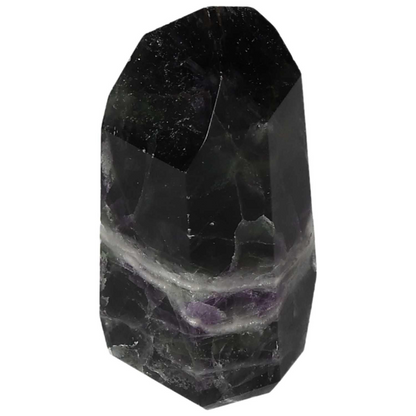 orbitvu|type:image2d
