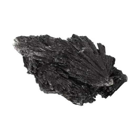 orbitvu|type:ORBITVU 360|https://orbitvu.co/share/3J8ea7mF4yXE9fzZ3PkhrQ/6526958/360/iframe