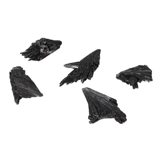 orbitvu|type:ORBITVU 360|https://orbitvu.co/share/FHF8PjPQSHbNenE2N8KtSR/6527043/360/iframe