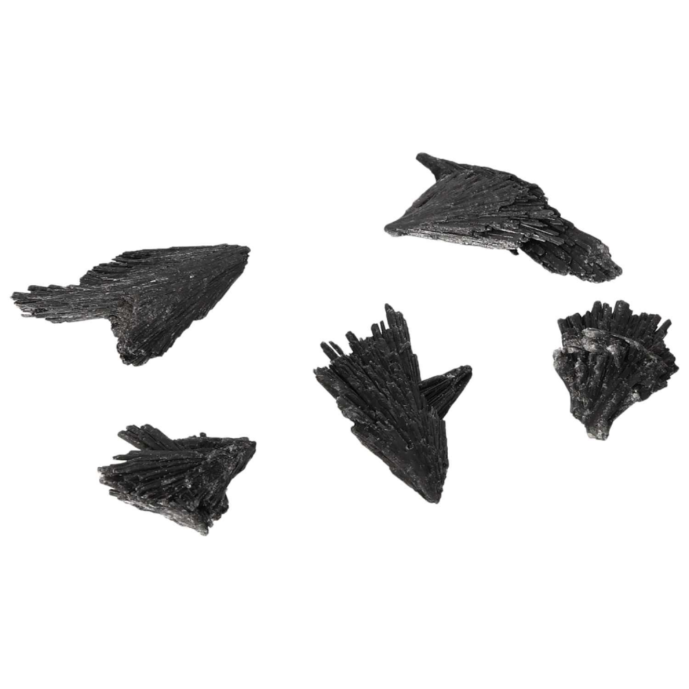 orbitvu|type:image2d