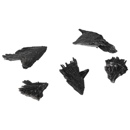 orbitvu|type:image2d