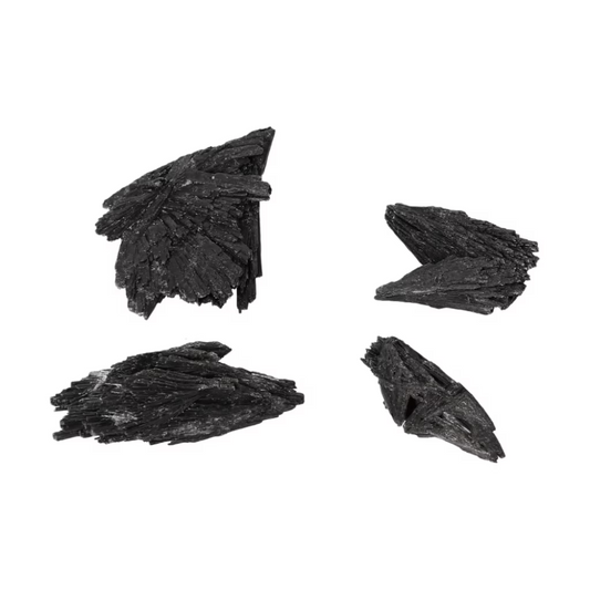 orbitvu|type:ORBITVU 360|https://orbitvu.co/share/P8yc4NAfdE8apHs4h7hfDY/6527029/360/iframe