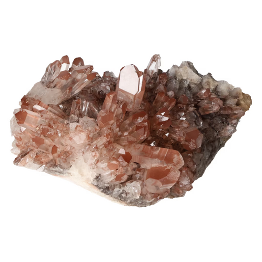 orbitvu|type:ORBITVU 360|https://orbitvu.co/share/muLzzLuwCvxmBjaZqQSCtQ/6529338/360/iframe