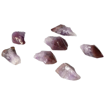 orbitvu|type:image2d