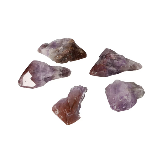 orbitvu|type:ORBITVU 360|https://orbitvu.co/share/iMwDsNwoFaX7gJiDcpXms4/6523482/360/iframe