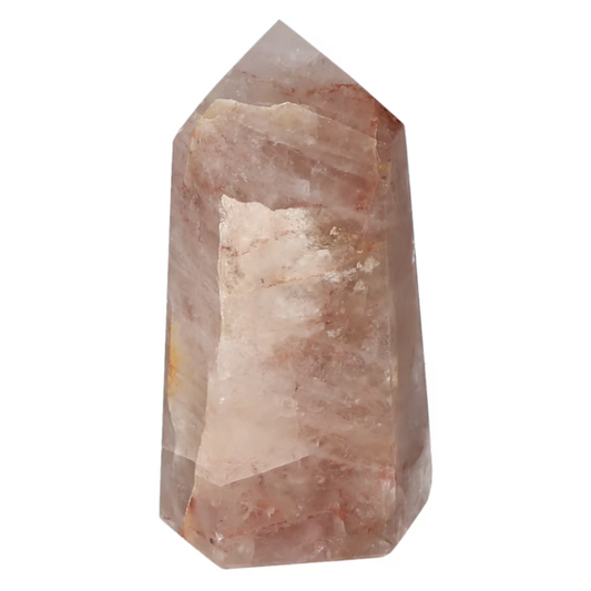 orbitvu|type:ORBITVU 360|https://orbitvu.co/share/W4hhzQ4DqkJrsfLLFmb6U/6524051/360/iframe