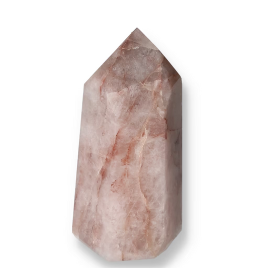 orbitvu|type:ORBITVU 360|https://orbitvu.co/share/4WtyUiX8wePN5siG7GizMA/6524163/360/iframe