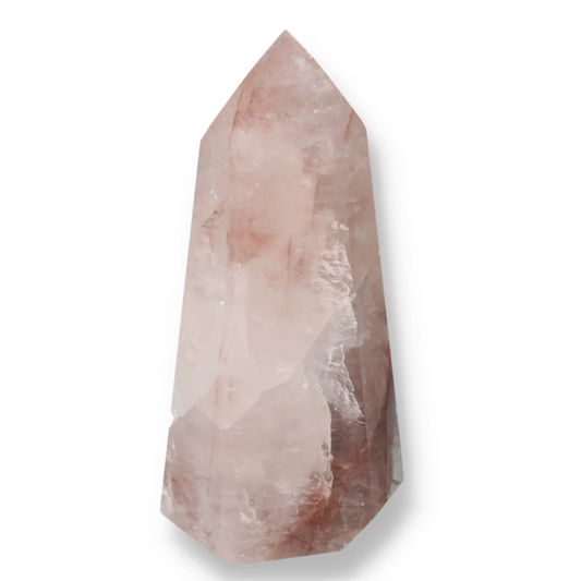 orbitvu|type:ORBITVU 360|https://orbitvu.co/share/TftUesUKAw8GvTqj8WSS5h/6524229/360/iframe