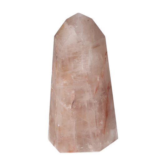 orbitvu|type:ORBITVU 360|https://orbitvu.co/share/wQPJj8UWb7cwpAsBisxCAi/6524313/360/iframe