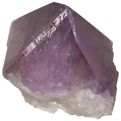 Polished Point Amethyst by Sylvia Crystals, featuring deep violet hues, symbolizing elegance and spiritual significance.