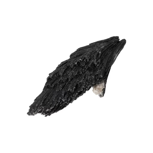 orbitvu|type:ORBITVU 360|https://orbitvu.co/share/T3A7dfr5xLNiyMsqrwSDYK/6526865/360/iframe