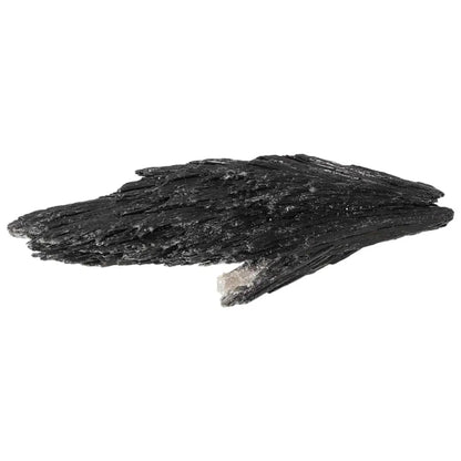 Black Kyanite crystal by Sylvia Crystals, ideal for meditation and conflict resolution, displayed on a white background.