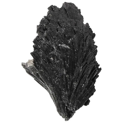 Black Kyanite crystal by Sylvia Crystals, known for deep introspection benefits and enhancing meditation; premium quality and authentic.