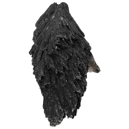 Black Kyanite crystal from Sylvia Crystals, known for enhancing meditation and inner peace, handpicked for quality and authenticity.