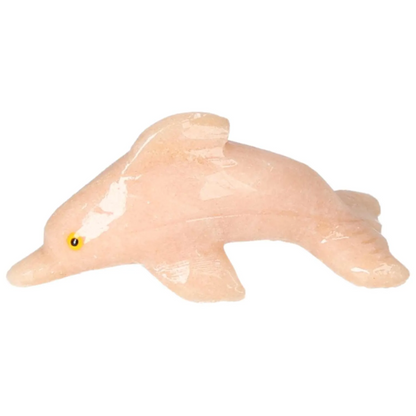 orbitvu|type:image2d