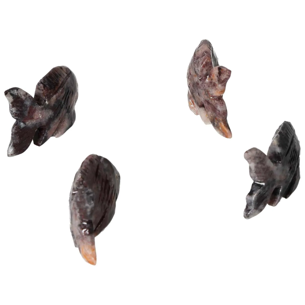 orbitvu|type:image2d