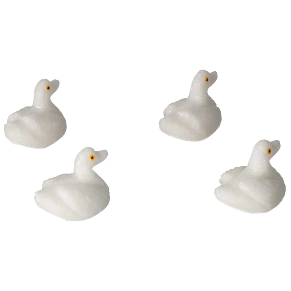 orbitvu|type:image2d