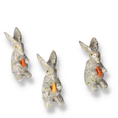 orbitvu|type:ORBITVU 360|https://orbitvu.co/share/DnjKvBoWuxsBvC2yoKGAFD/6515089/360/iframe