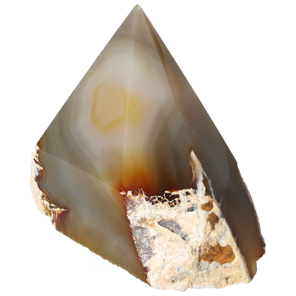 orbitvu|type:image2d