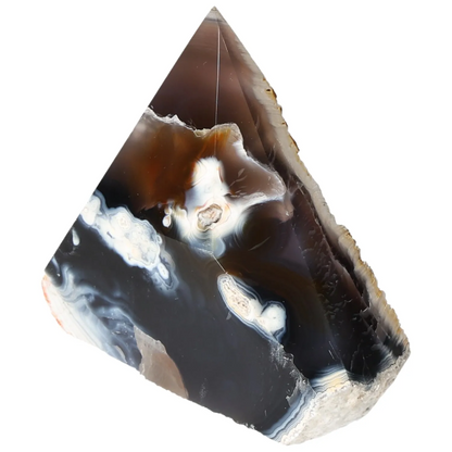 orbitvu|type:image2d