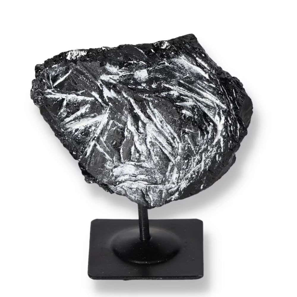 orbitvu|type:ORBITVU 360|https://orbitvu.co/share/aDGRqLru7Zci3NXULiny7k/6521286/360/iframe