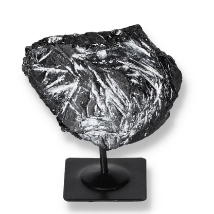 orbitvu|type:ORBITVU 360|https://orbitvu.co/share/aDGRqLru7Zci3NXULiny7k/6521286/360/iframe