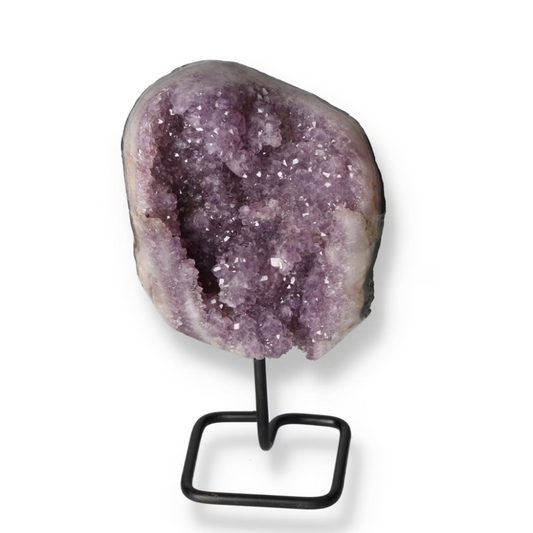 orbitvu|type:ORBITVU 360|https://orbitvu.co/share/wXrJ52eyJWrT4CtV4SY3Ln/6272715/360/iframe