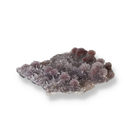 orbitvu|type:ORBITVU 360|https://orbitvu.co/share/H7kmihuFpHnYwbByVbDeBZ/6278125/360/iframe