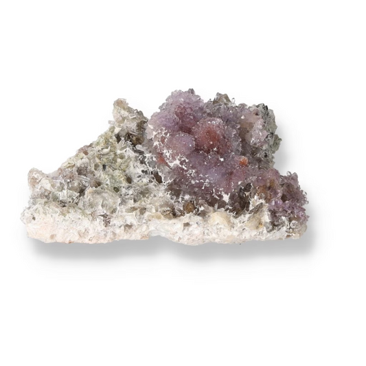 orbitvu|type:ORBITVU 360|https://orbitvu.co/share/FWpVrca6RifW4d62ypVTHR/6278135/360/iframe