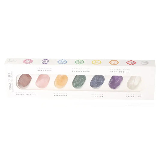 Set of polished chakra stones displayed in a white box, representing various colors and symbols of chakras for meditation and healing.