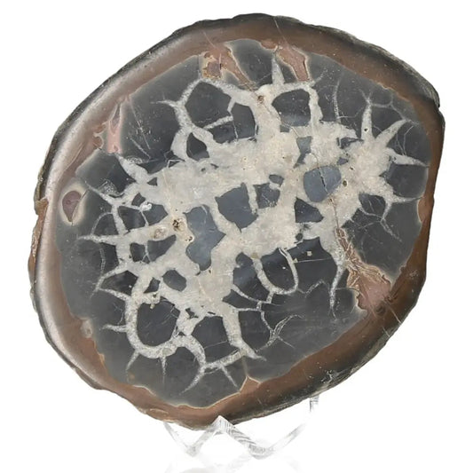Septarian stone with unique patterns, known as Dragon Stone, showcasing its multidimensional properties and rich symbolism.