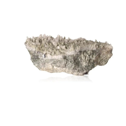 Premium Quartz with Calcite crystal from Sylvia Crystals, showcasing a blend of clarity and soothing essence for energetic benefits.