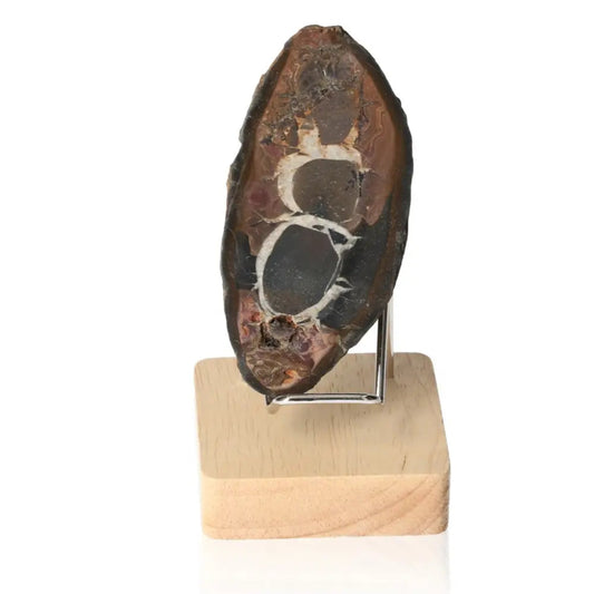 Septarian Dragon Stone displayed on a wooden stand, showcasing its unique patterns and earthy colors, symbolizing power and endurance.